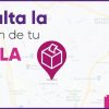 ¿Conoces la ubicación de las casillas de votación para las elecciones en Morelos? el IMPEPAC publicó el listado