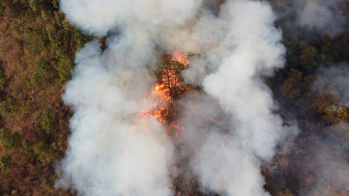 Gobierno de Morelos emite recomendaciones ante incendios forestales