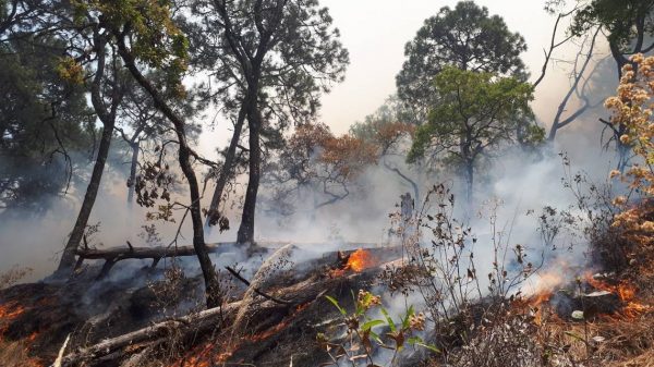 Protección Civil de Xochitepec, Morelos alertó incremento de incendios durante este 2021