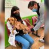 Morelos participa en la Jornada Nacional de Vacunación Antirrábica Canina y Felina, donde esperan aplicar 19 mil vacunas