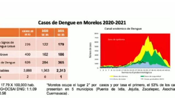 Morelos registra 365 casos confirmados de Dengue, ocupando así el segundo lugar a nivel nacional