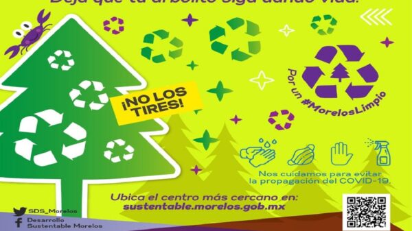Invita la Secretaría de Desarrollo Sustentable Morelos a reciclar los árboles navideños para convertirlos en abono