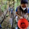 Realizan limpieza de casi dos kilómetros del canal del Parque Barranca Chapultepec 