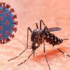 Coronadengue: Detectan caso de infección simultánea de dengue y covid-19 en Argentina