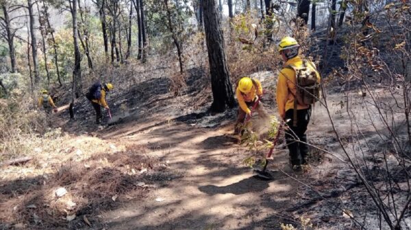 Mando Unificado de Incendios Forestales han atendido 39 siniestros en cuatro municipios de Morelos 