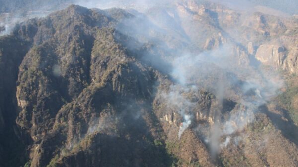 Propaem presenta denuncia penal ante la FGE contra los responsables del incendio forestal en el paraje “Los Corredores”, en Tepoztlán