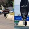 Seprac detiene a cuatro mujeres por vandalizar monumento de la Paloma de la Paz en Cuernavaca y dos hombres por intentar arrollar a elementos policiales 