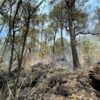 Activo incendio forestal en el paraje "Ostolca" de la comunidad de Coajomulco en Huitzilac