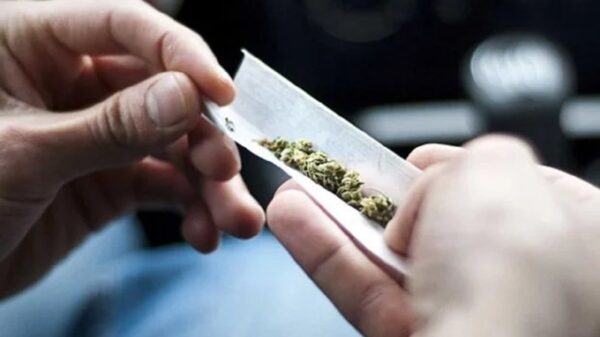 Determina la SCJN eliminar la penalización de la posesión de más de cinco gramos de marihuana para consumo personal 