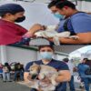 Realizan quinta jornada de esterilización de perros y gatos en Jiutepec. Ya suman mil animales de compañía operados