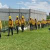 Mantiene SDS acciones preventivas contra incendios forestales en diferentes regiones de Morelos 