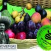 Mercadito Verde En Morelos, Edición 95: Domingo 20 De Noviembre En El Parque Chapultepec De Cuernavaca